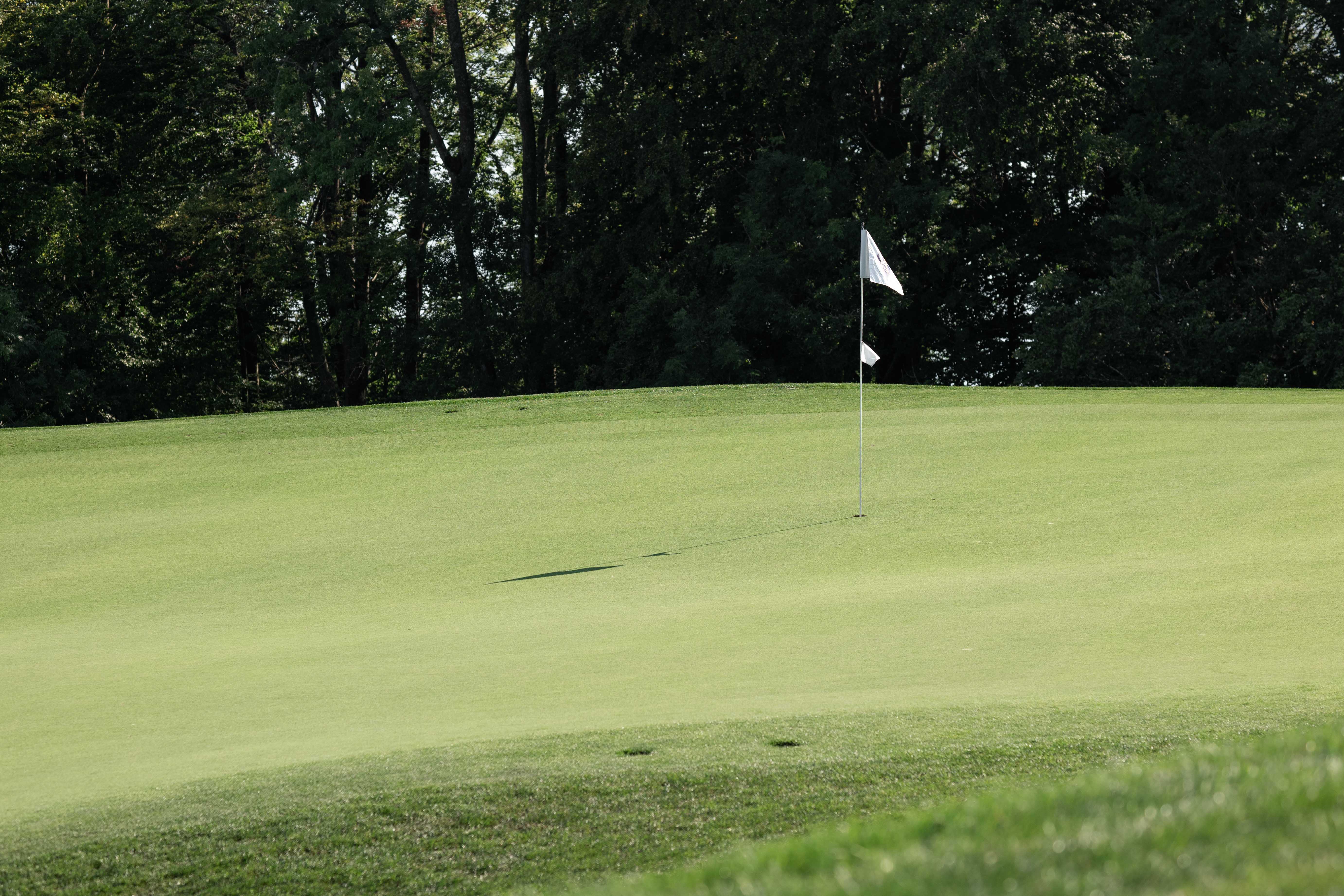 Golf flag on a green golf course with trees in the background